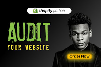 provide a professional shopify website audit