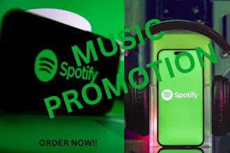 do professional spotify music promotion for long term fan growth
