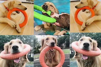 create realistic 3d dog model and stunning product photography real dog