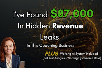 audit your business and recover 30k to 100k in lost revenue