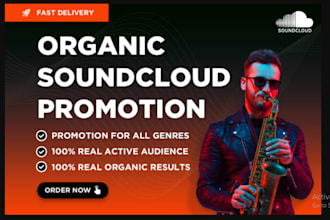 do organic soundcloud music promotion to superfast growth using email ads