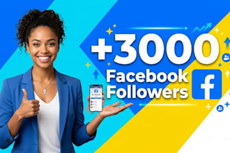 provide 3000 facebook followers