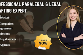 be your lawyer and virtual paralegal for civil criminal family law divorce cases