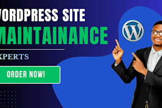 provide maintenance and support for wordpress website