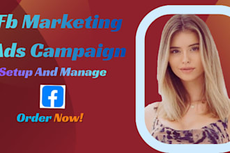 setup facebook ads campaign for leads and sales