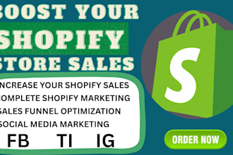 create ads expert, manage the shopify facebook ads campaign
