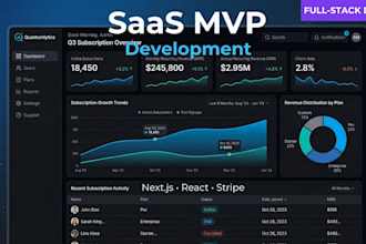 build a saas mvp web app with next js and stripe