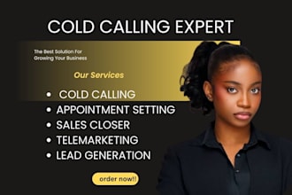 high ticket closer and sales agent for b2b sales appointment setter