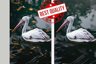 removal unwanted objects from your photos professionally