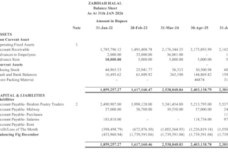 manage bookkeeping, financial statements and data analysis
