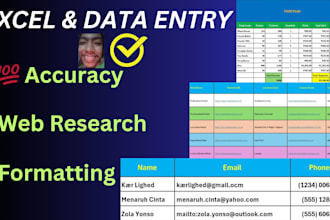 do expert excel data entry, data cleaning, and web research