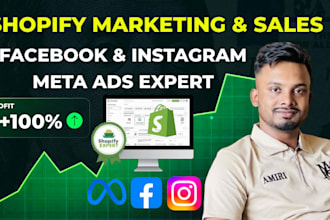 manage shopify facebook instagram ads campaign to add profit