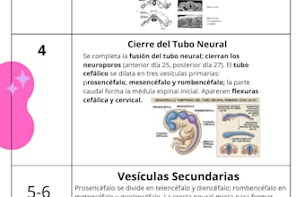 diseño de linda infografia