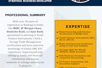 provide banking advisory services and can secure IT projects