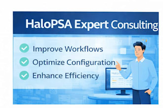 provide expert halopsa consulting and optimization