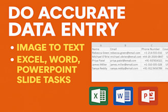 do data entry, image to text and excel, word, power point slide tasks