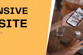 create a professional developer portfolio website