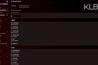 setup a professional discord server with roles bots and security