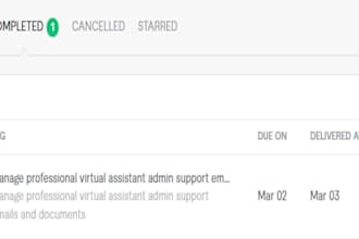 be your professional airbnb virtual assistant for guest communication and listin
