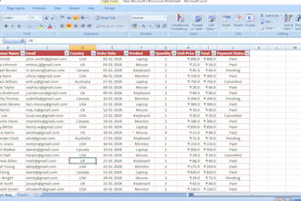 excel data cleaning, formatting, and duplicate removal