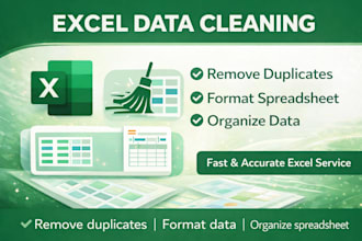 excel data cleaning and formatting