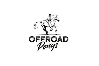 design a modern horse racing logo for your brand