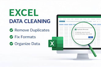 clean, organize and format excel data