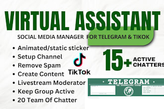 manage telegram community, do tiktok moderator virtual assitant