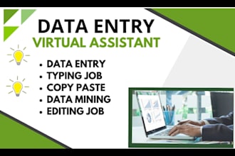 do accurate data entry, excel data entry, web research and copy paste