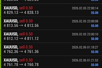 create  mt4 amd mt5 indicator or expert advisor ea