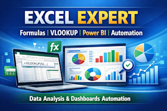 do excel data cleaning, pivot tables, vlookup and data analysis