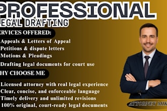 draft appeals, petitions, motions and court legal documents