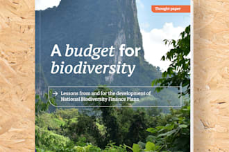 design and layout your annual report, proposal, or business document