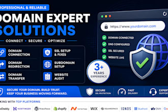 connect domain, transfer godaddy domain to any platform, fix dns