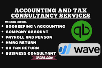 be your bookkeeper using wave accounting