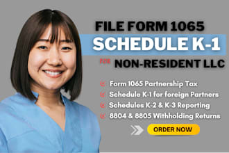 file form 1065 and schedule k 1 for foreign and nonresident llc partners