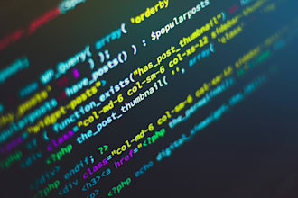 perform a professional wordpress security audit and vulnerability scan
