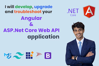 do asp dotnet web api, asp net mvc and angular development