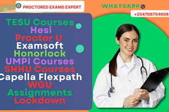 assist lockdow, capella flxp, hesi, teas 7, wgu, examsoft, honorlock, snhu