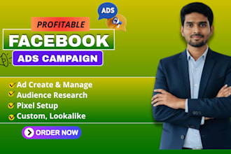 set up and manage facebook ads and meta ads campaign
