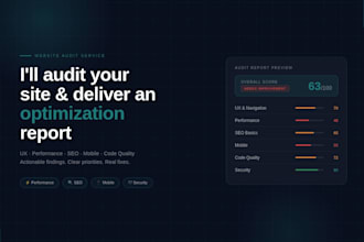 audit your website and deliver an optimization report