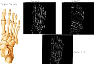 perform image processing and edge detection using python and opencv
