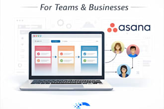 build a professional asana workflow for your team or business
