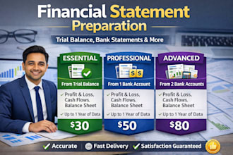 prepare professional financial statements