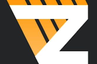 design a professional logo, brand identity and branding kit