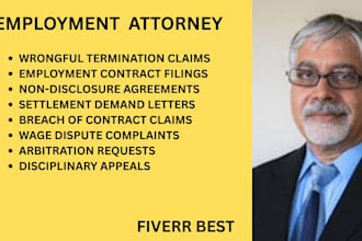 handle wrongful termination, nda, wage disputes and employment contract filings