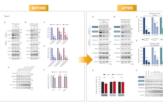 design professional scientific figures for papers or theses