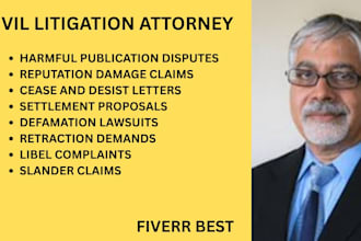 handle defamation lawsuits, slander claims and harmful publication disputes