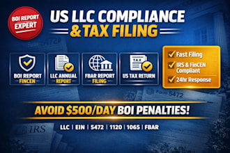 file us llc annual report, sale tax return, fbar report boi report with fincen