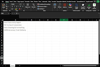 do excel data entry, PDF to excel, conversion, data cleaning